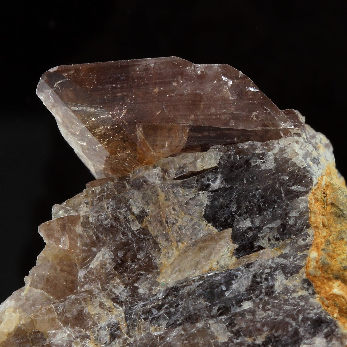 Axinite. 512.9 carats. Chamrousse, Vizille, Isère, France