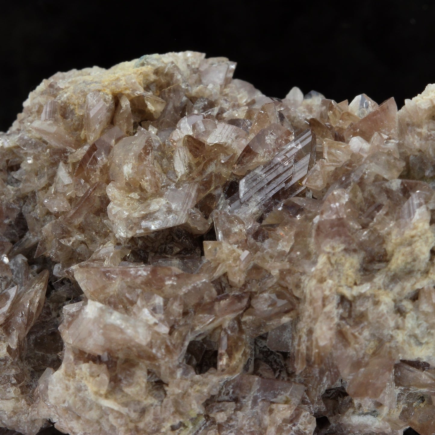 Axinite. 435.9 carats. Chamrousse, Vizille, Isère, France