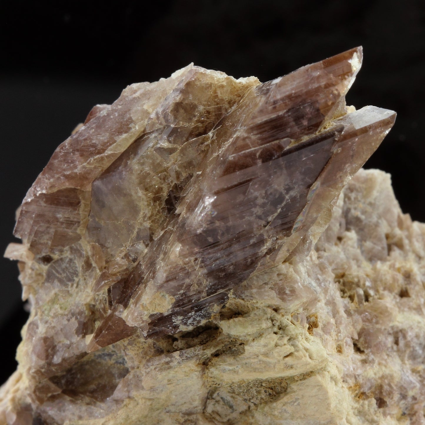Axinite. 476.9 carats. Chamrousse, Vizille, Isère, France
