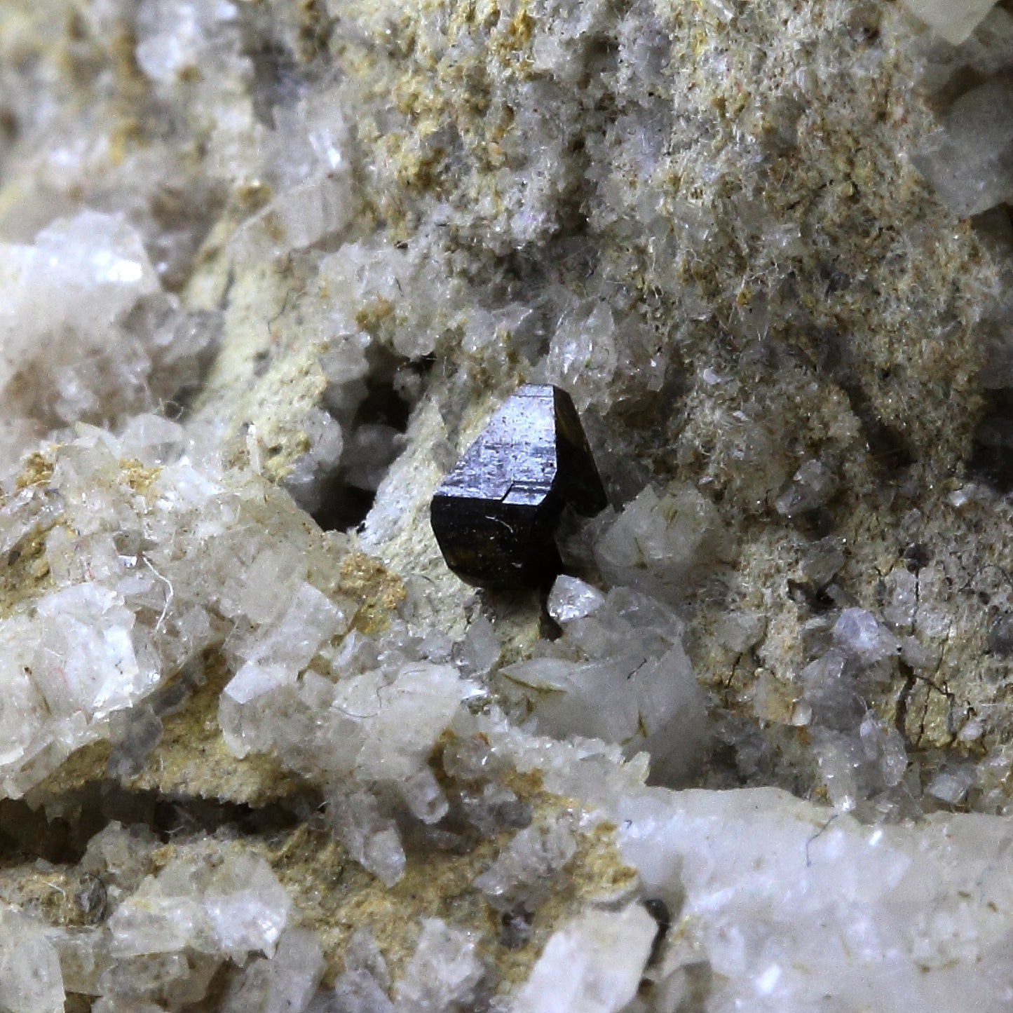 Anatase, Albite, 516.5 carats, Plan du Lac, Oisans, Savoie, Auvergne-Rhône-Alpes, France