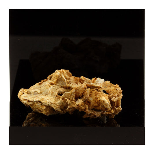 Rectorite sur Calcite. 167.9 carats. La Table, Chambéry, France