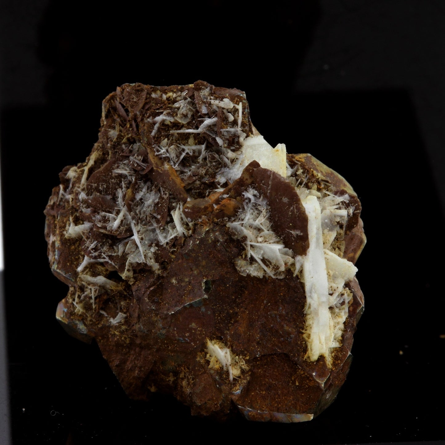 Pyrite, Baryte, Siderite. 62.61 carats. Mésage Mine, Vizille, France