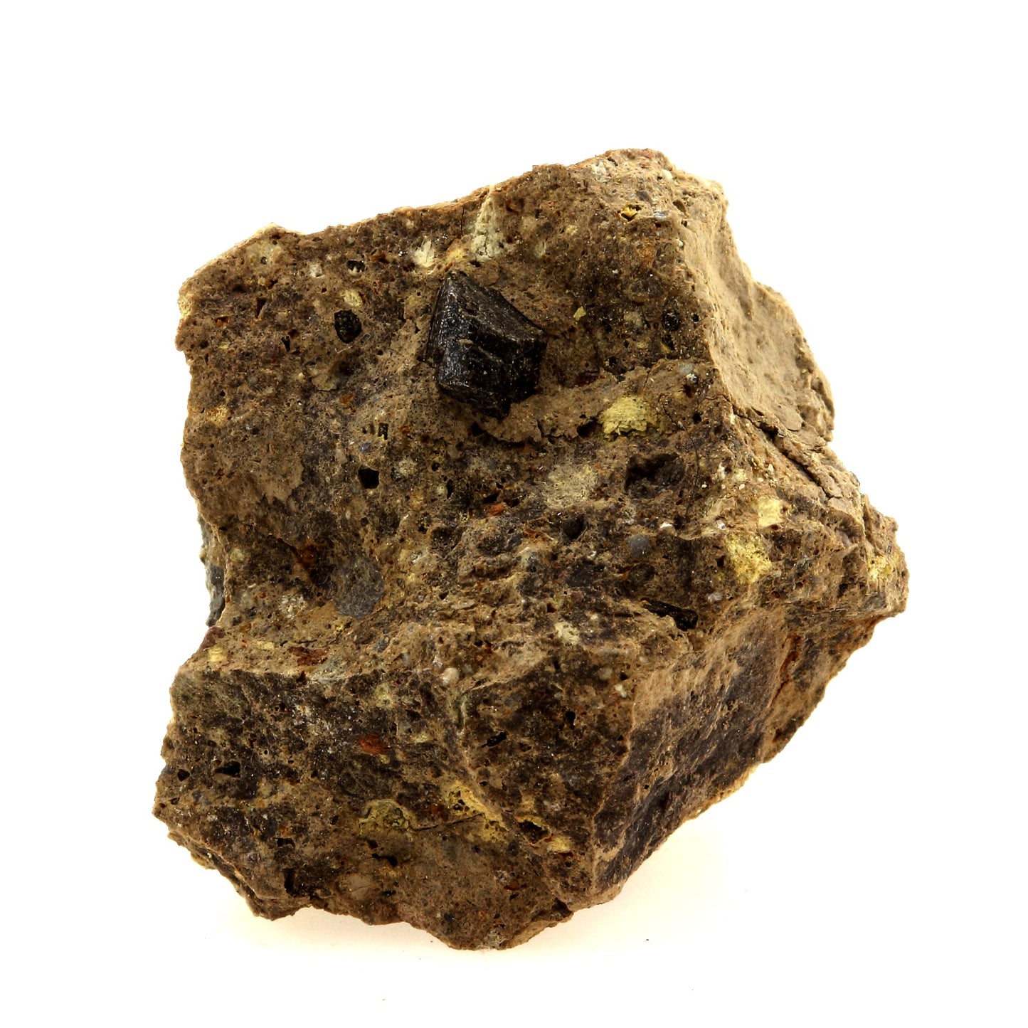 Augite. 69.6 carats. Salers, Cantal, France