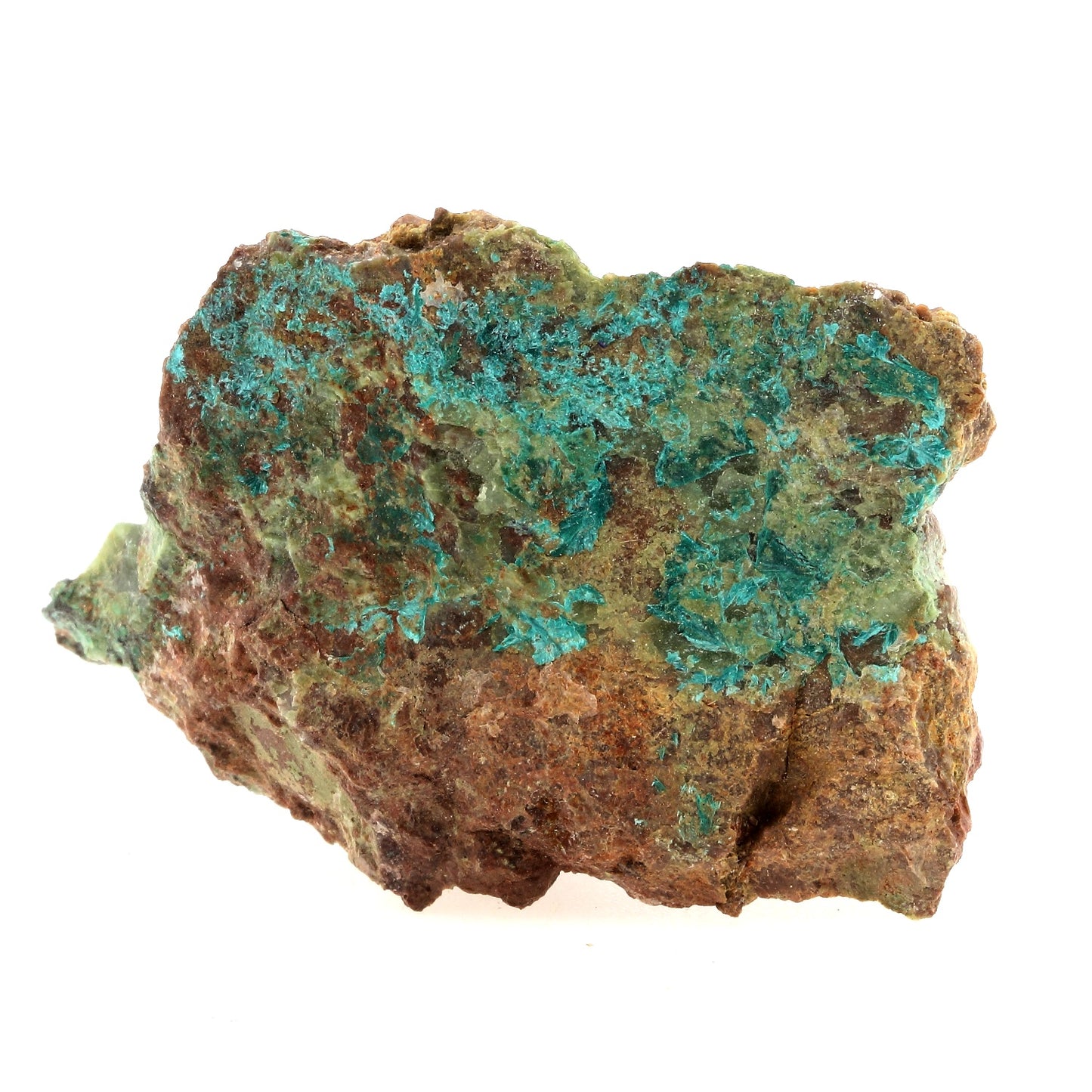 Tyrolite. 248.3 carats. Vojtechova osada, Slovaquie