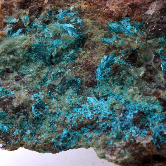 Tyrolite. 248.3 carats. Vojtechova osada, Slovaquie