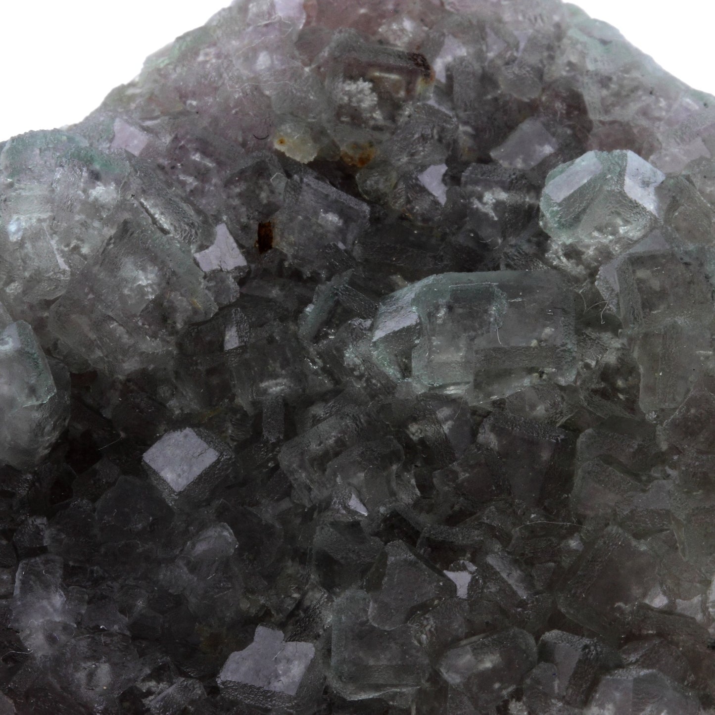 Fluorite. 1605.1 carats. Fontsante Mine, Var, France