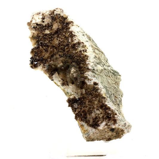 Anatase + Quartz. 1985.1 carats. Col de La Madeleine, Savoie, France