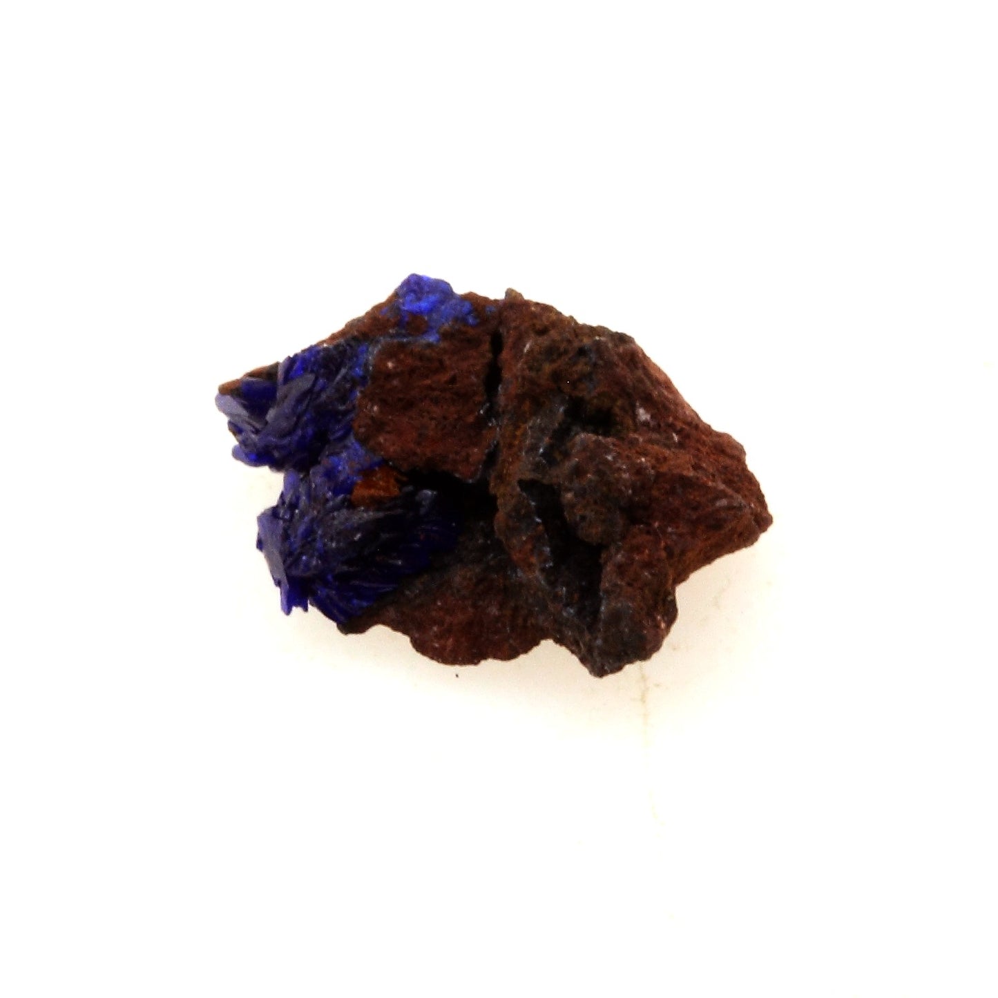 Azurite. 0.84 carats. Touissit, Maroc