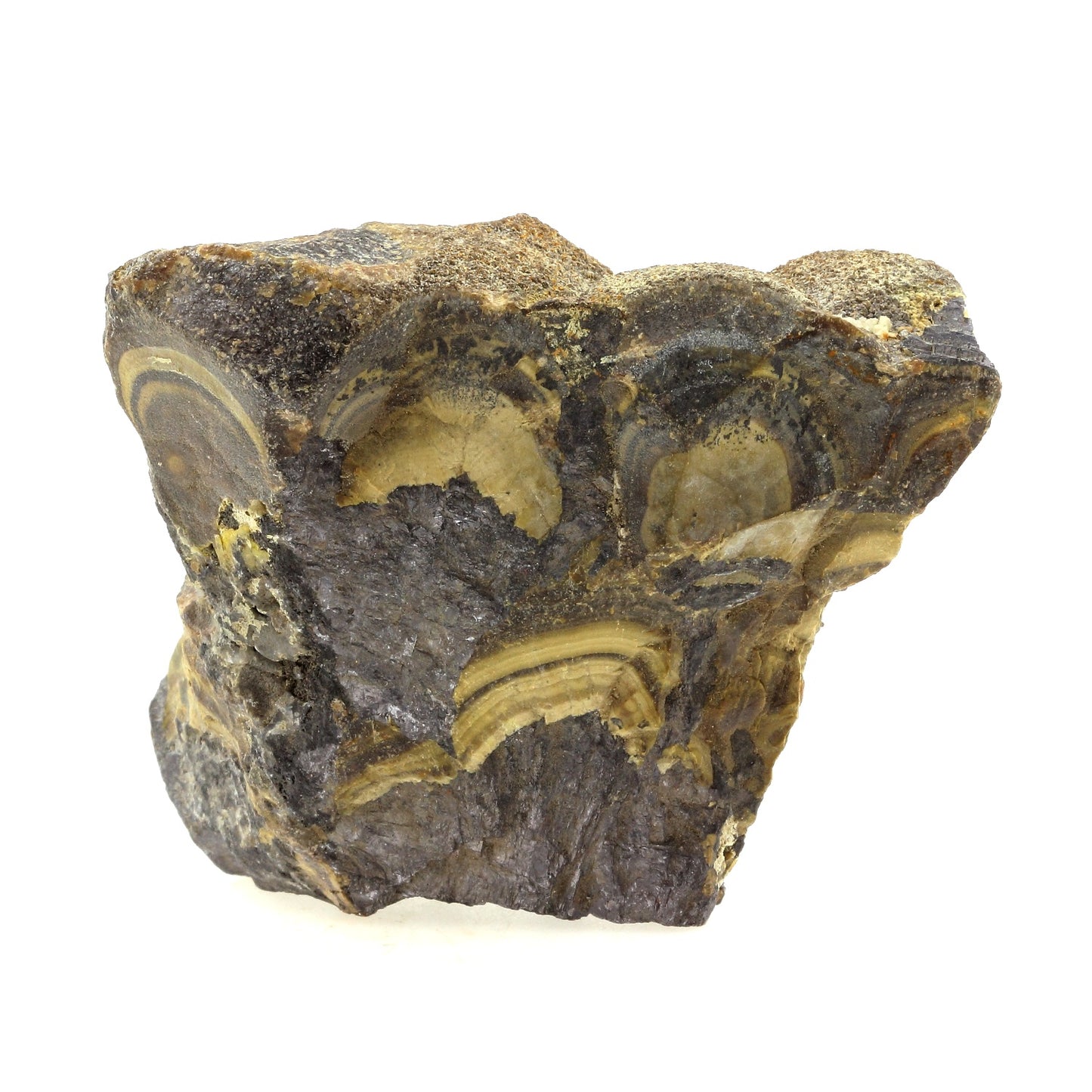 Marcassite + Baryte. 967.8 carats. Lubin District, Lower Silesia, Pologne