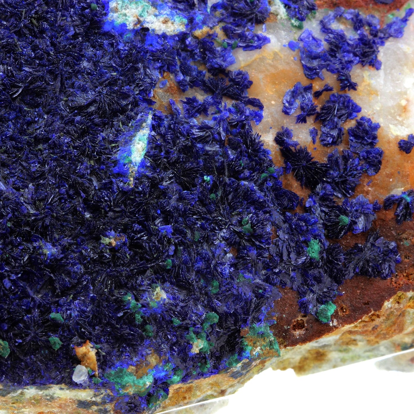 Azurite. 1645.0 carats. Cap Garonne, Le Pradet, Var, France