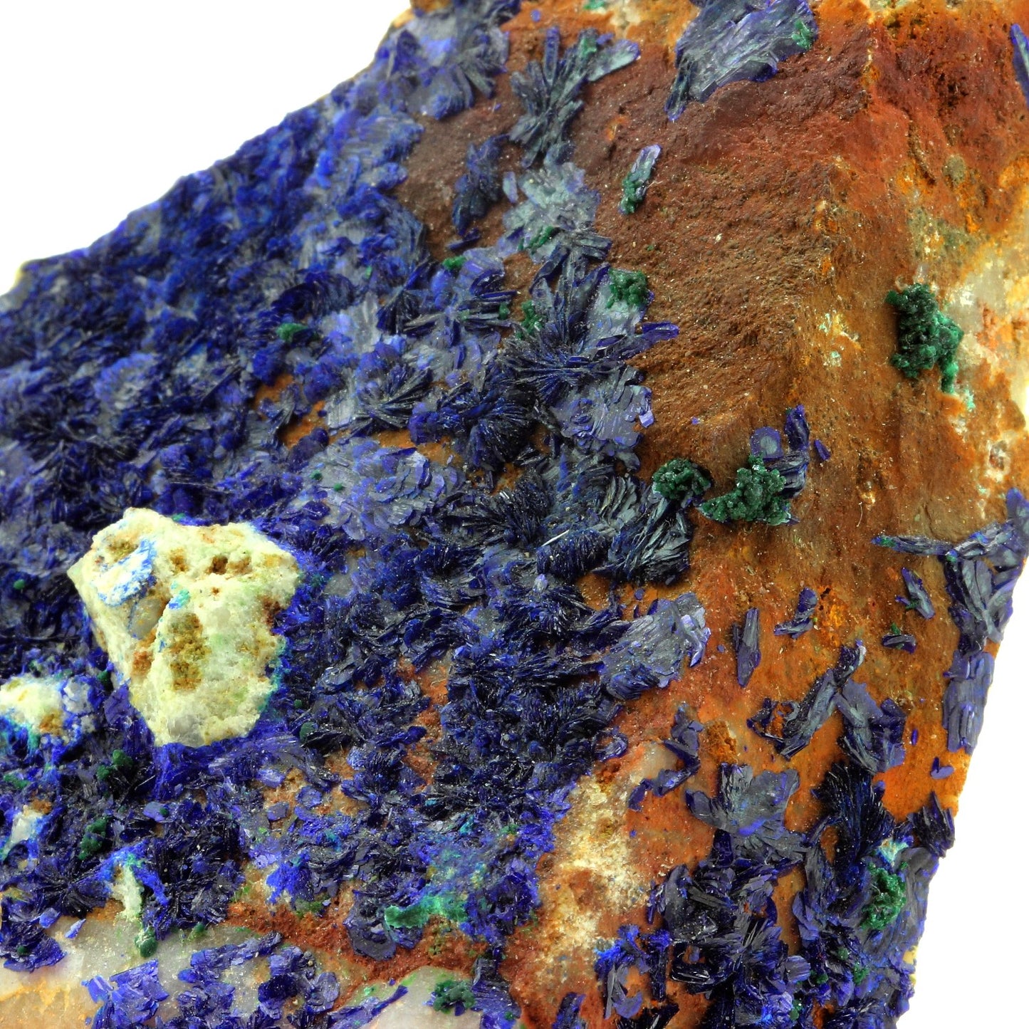 Azurite. 1645.0 carats. Cap Garonne, Le Pradet, Var, France