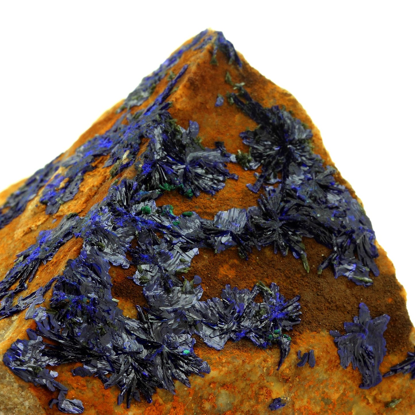 Azurite. 2204.0 carats. Cap Garonne, Le Pradet, Var, France