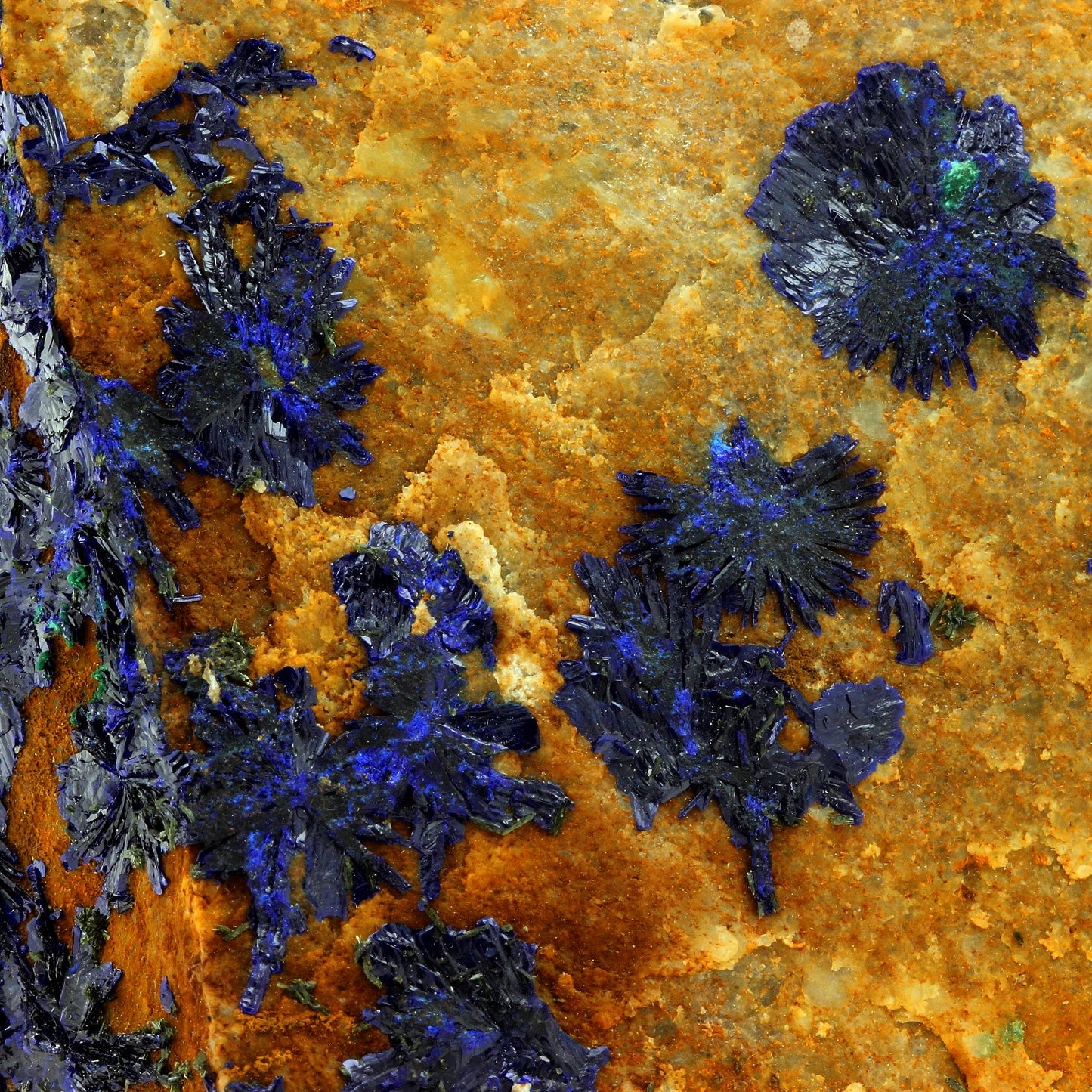 Azurite. 2204.0 carats. Cap Garonne, Le Pradet, Var, France