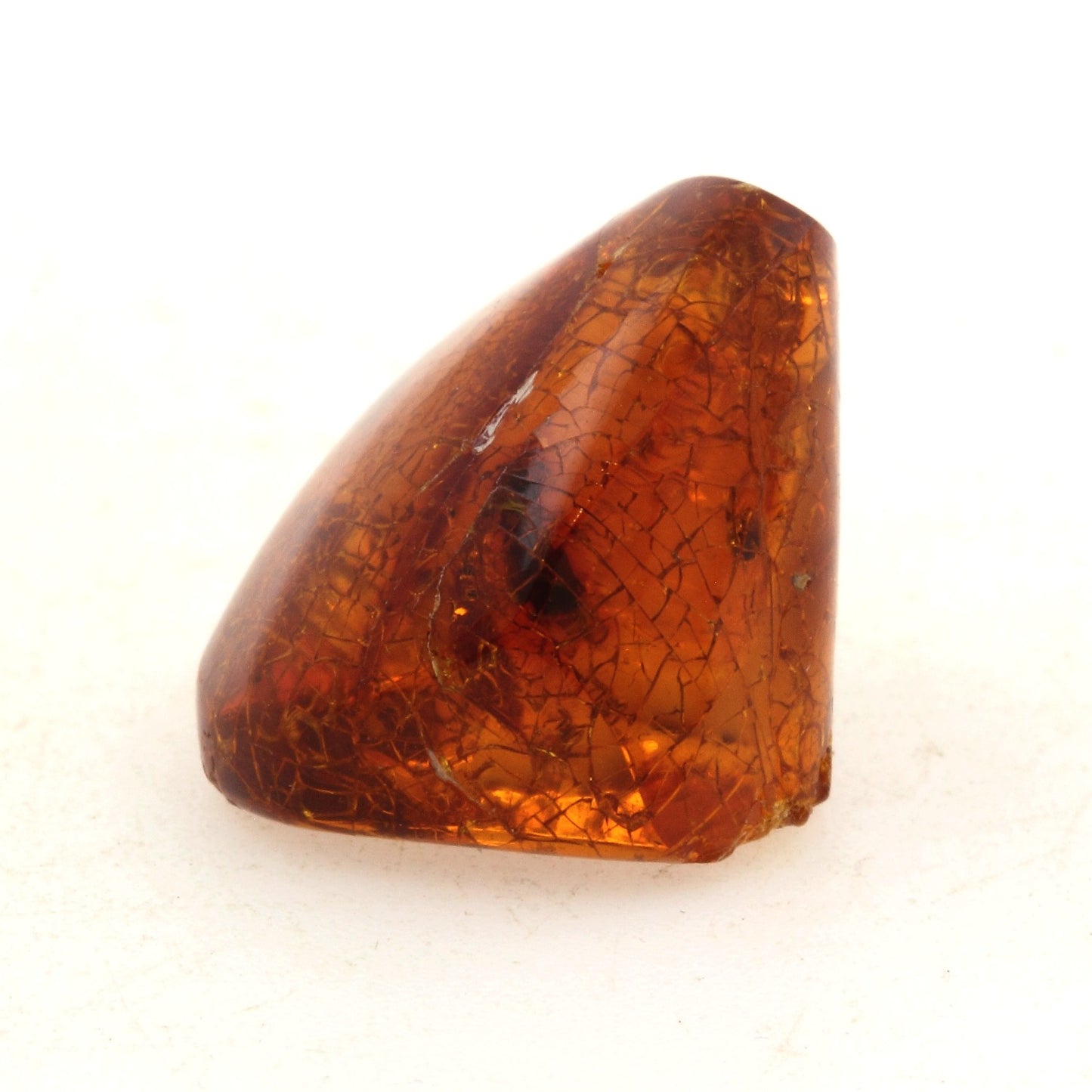 Ambre avec insecte, 22.0 carats, République Dominicaine