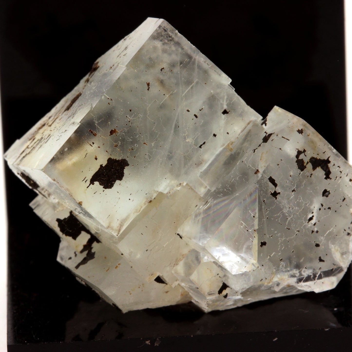 Fluorite. 64.1 carats. Langeac, Haute-Loire, France