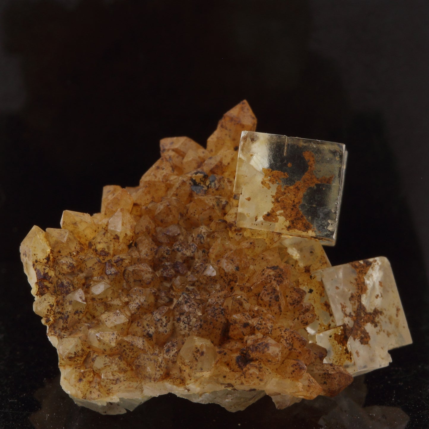 Fluorite + Quartz. 43.4 carats. Langeac, Haute-Loire, France