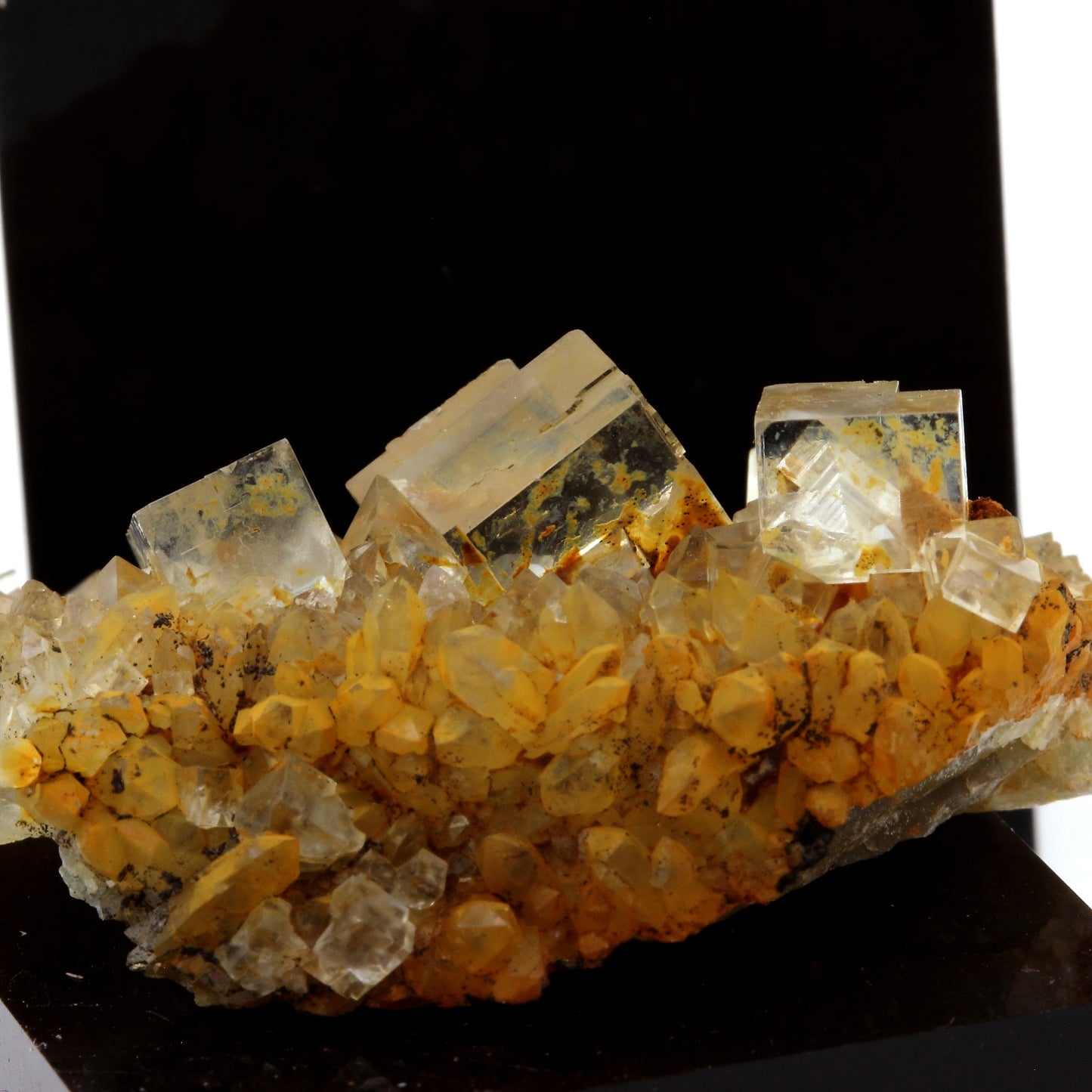 Fluorite + Quartz. 77.2 carats. Langeac, Haute-Loire, France