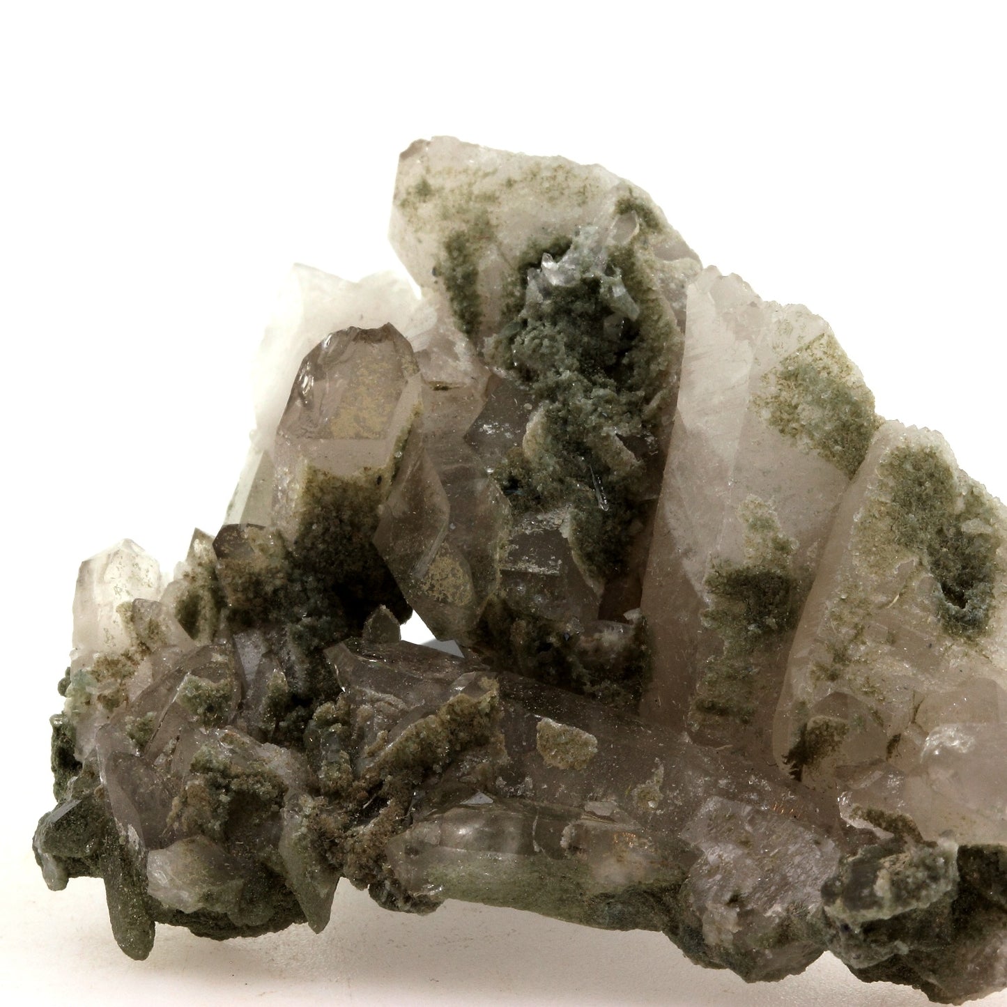 Quartz fumé + Chlorite, 290.1 carats, Vallon de la Valette, Savoie, France