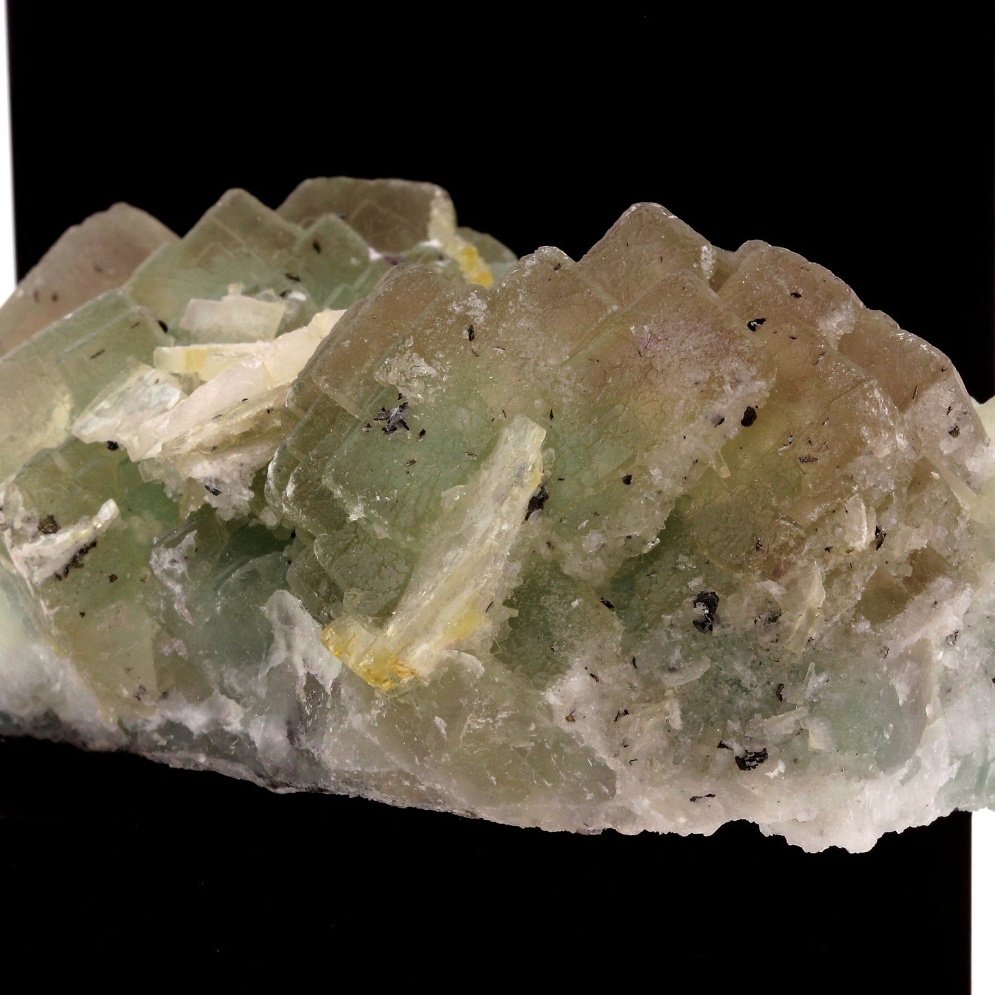 Fluorite + Baryte. 2680.0 carats. Fontsante Mine, Tanneron, Var, France