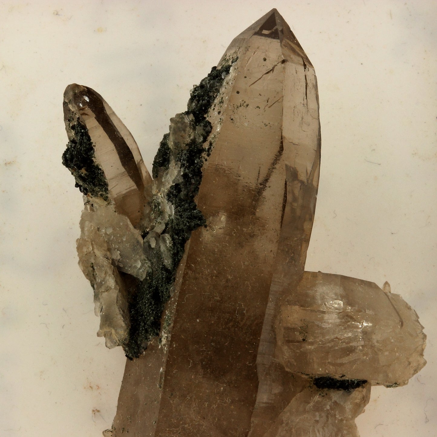 Quartz fumé + Chlorite. 190.2 carats, Felben valley, Salzburg, Autriche