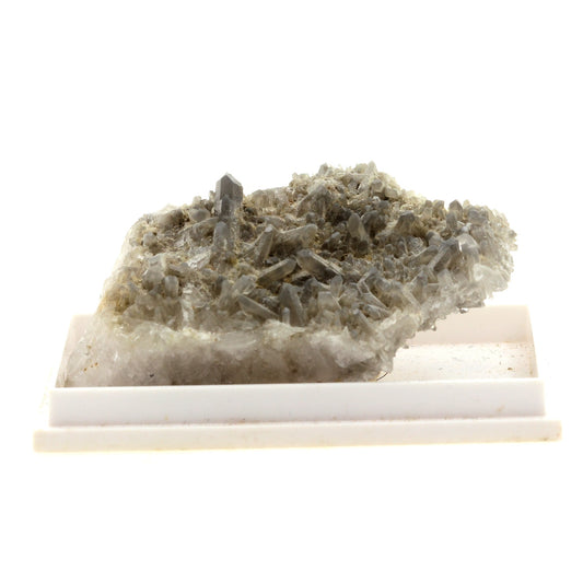 Brookite sur Quartz gris. 159.3 carats. Tête Noire, Massif du Mont-Blanc, Suisse