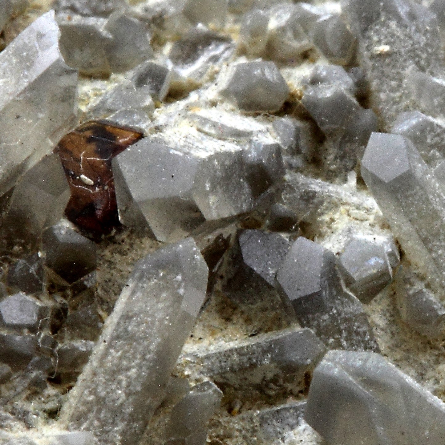 Brookite sur Quartz gris. 159.3 carats. Tête Noire, Massif du Mont-Blanc, Suisse
