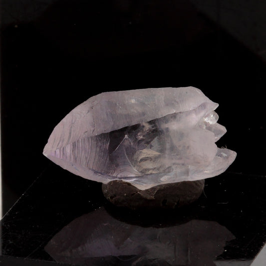 Quartz Améthyste Sceptre. 3.7 carats. Mörchnerkar, Mörchner area, Zemmgrund, Zillertal, North Tyrol, Tyrol, Autriche