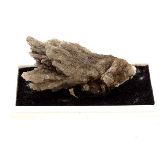 Calcite, Albite, Anatase en provenance de Gunggl valley (In der Gunggl), Zemmgrund, Zillertal, North Tyrol, Tyrol, Autriche