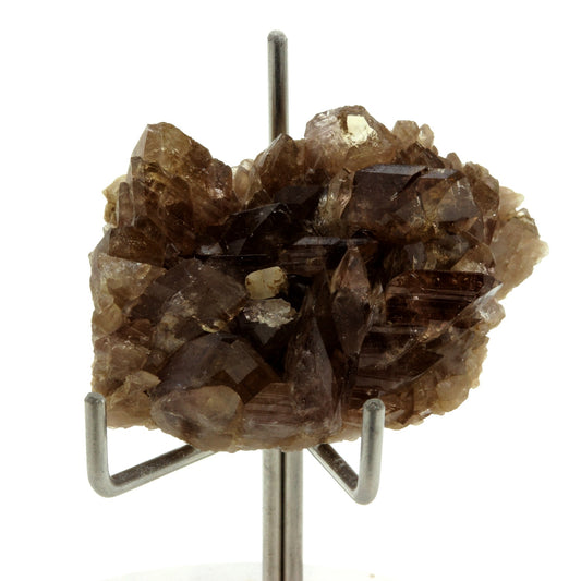 Axinite. 68.1 carats. Chamrousse, Belledonne, Isère, France