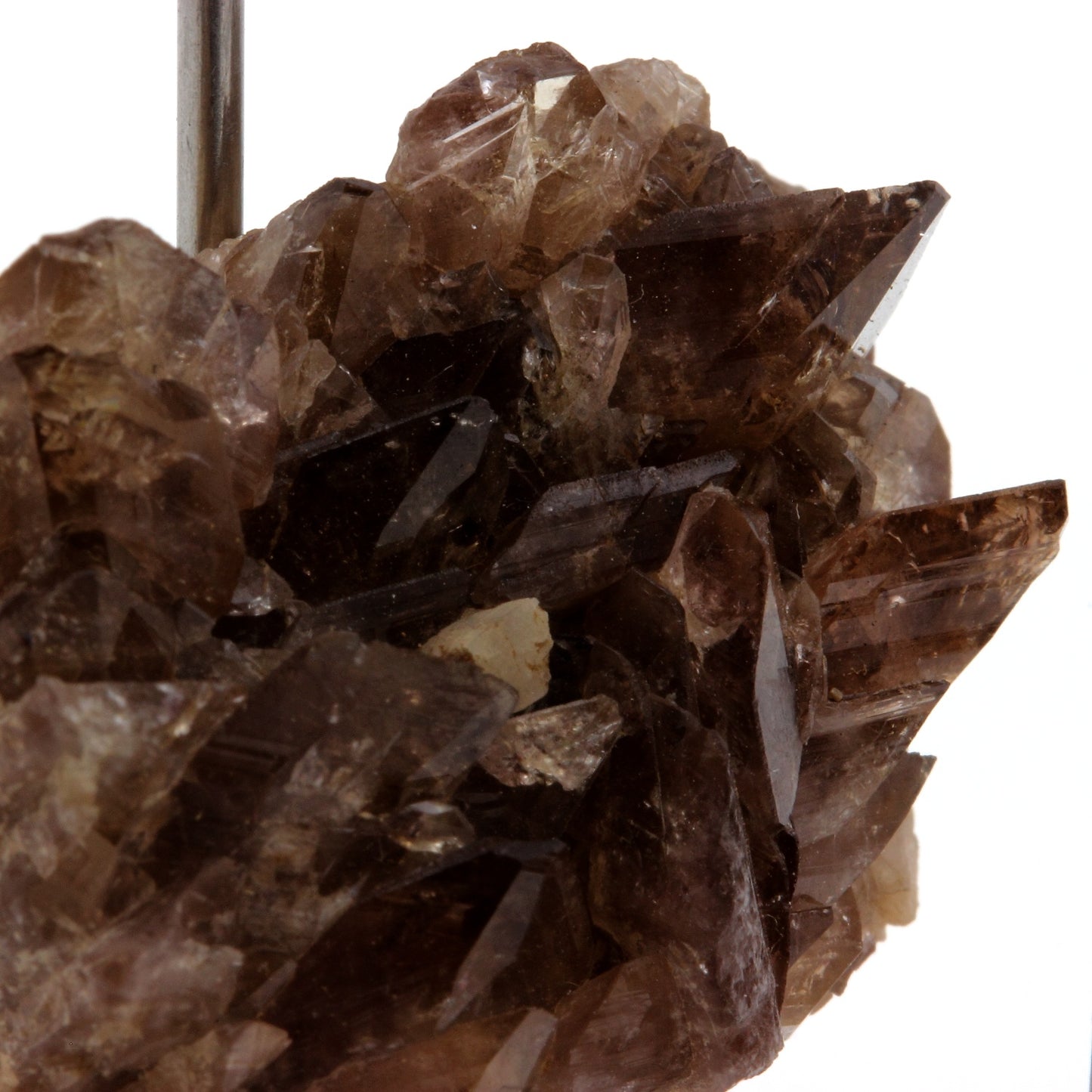 Axinite. 68.1 carats. Chamrousse, Belledonne, Isère, France