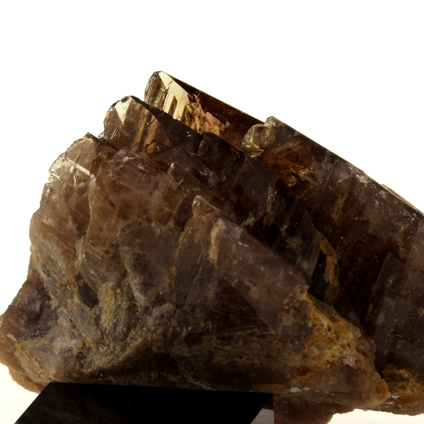 Axinite. 202.1 carats. Chamrousse, Belledonne, Isère, France