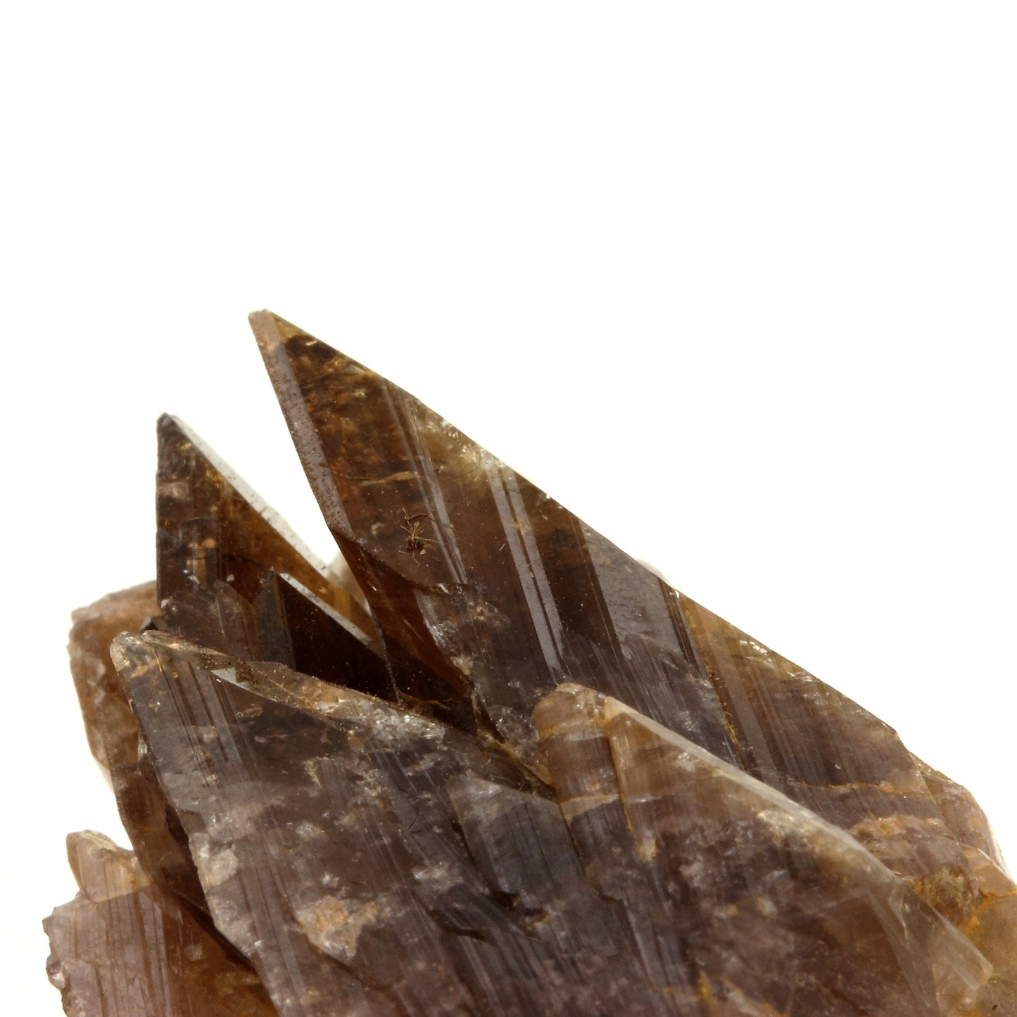 Axinite. 202.1 carats. Chamrousse, Belledonne, Isère, France