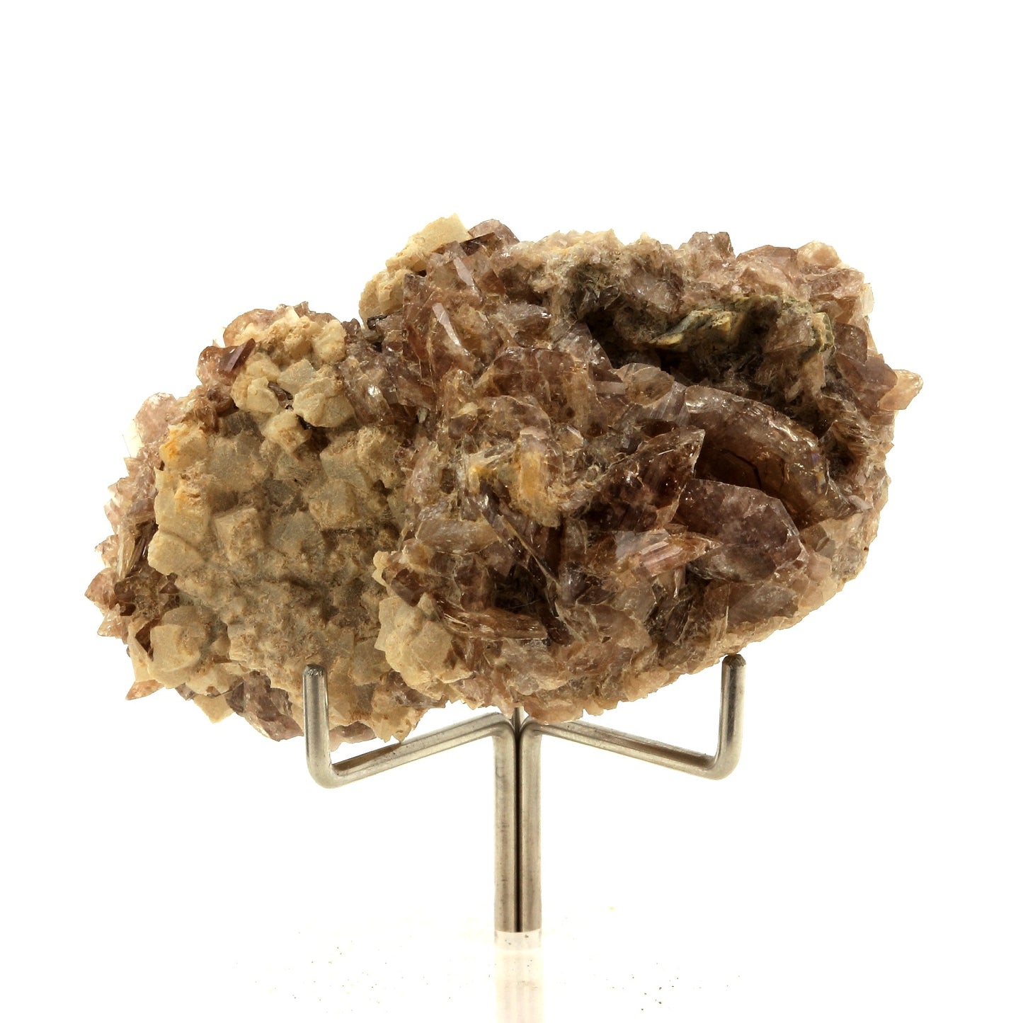 Axinite + Prehnite. 237.4 carats. Chamrousse, Belledonne, Isère, France