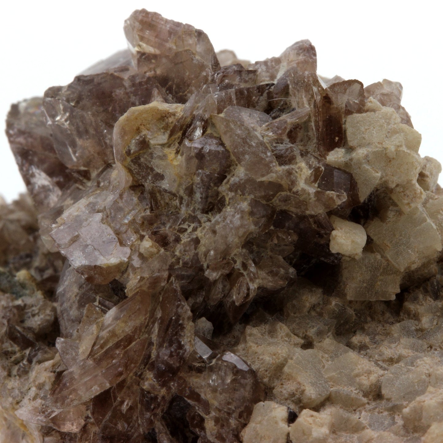 Axinite + Prehnite. 237.4 carats. Chamrousse, Belledonne, Isère, France
