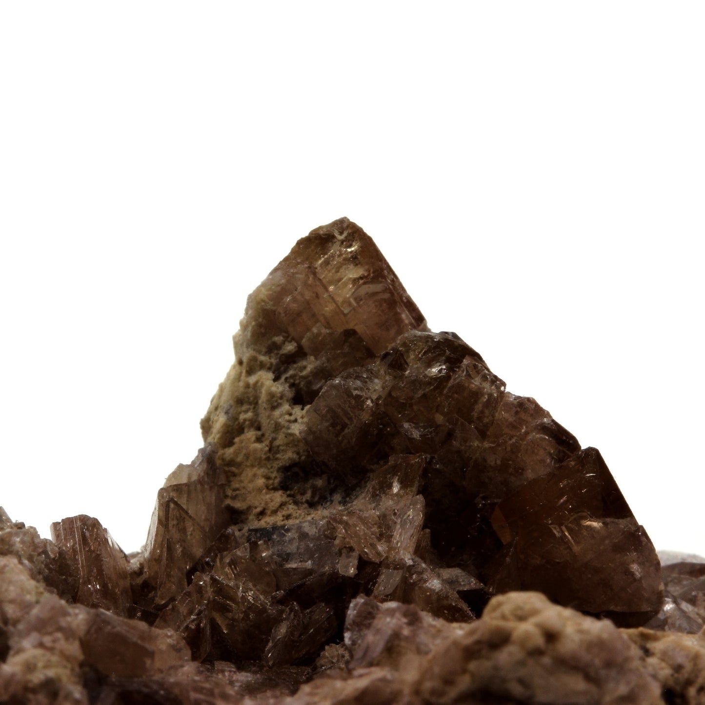 Axinite. 495.2 carats. Chamrousse, Belledonne, Isère, France