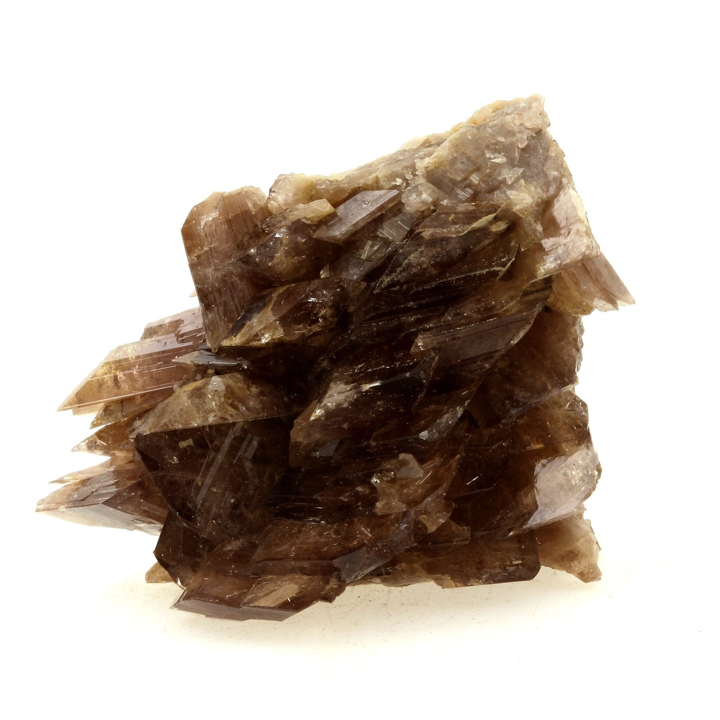 Axinite. 167.6 carats. Chamrousse, Belledonne, Isère, France
