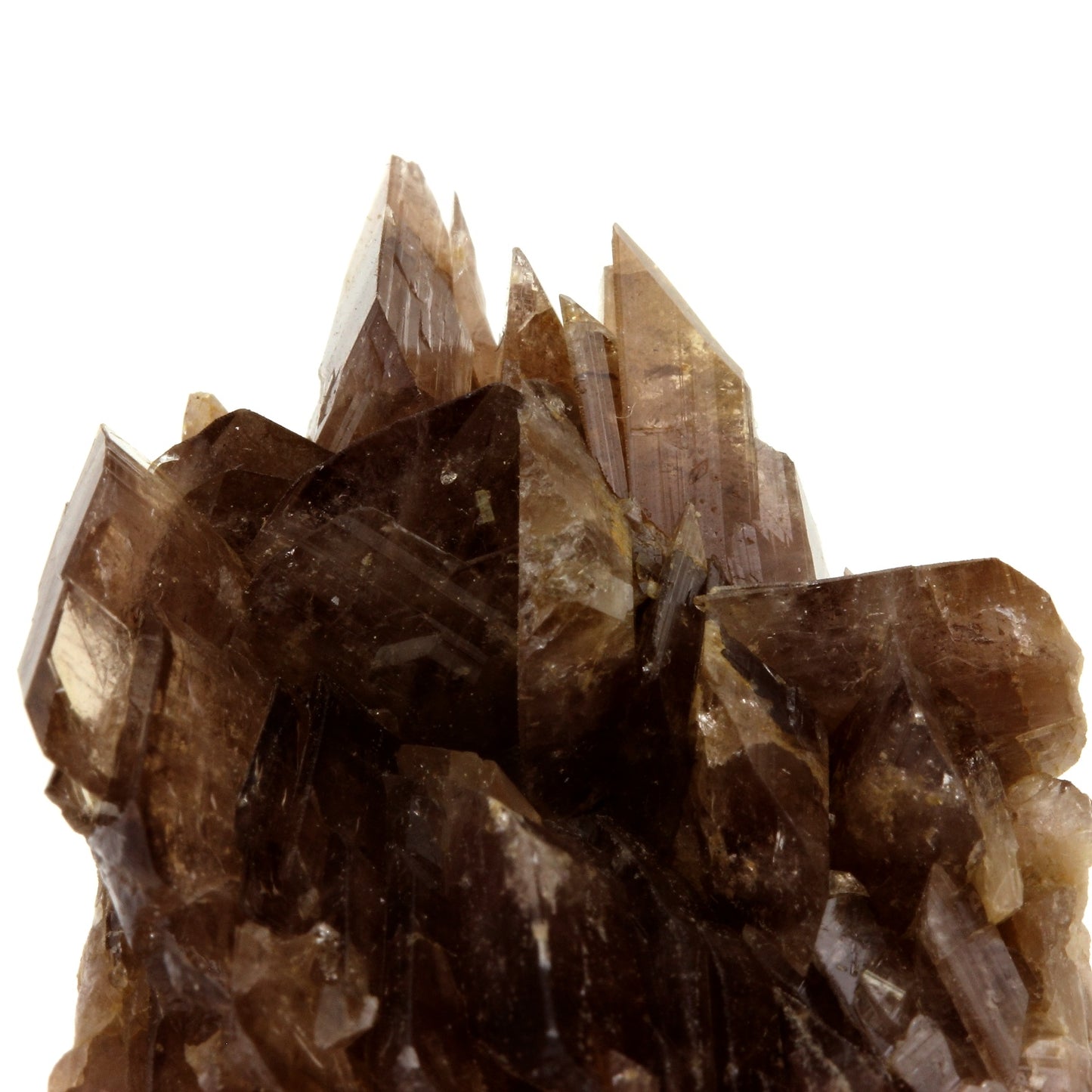 Axinite. 167.6 carats. Chamrousse, Belledonne, Isère, France