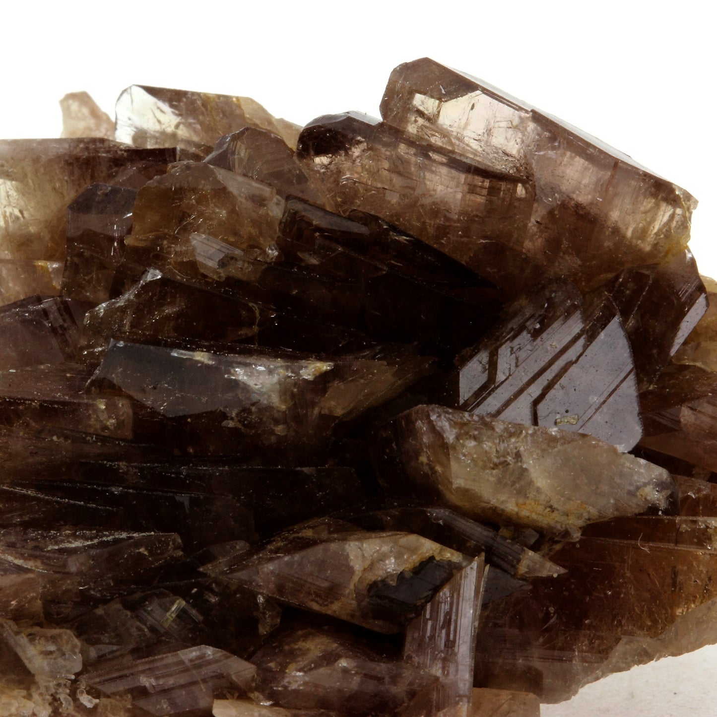 Axinite. 167.6 carats. Chamrousse, Belledonne, Isère, France