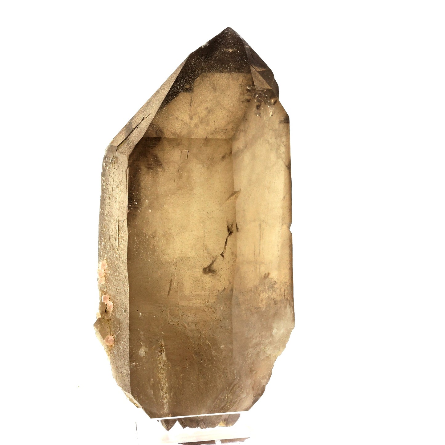 Fluorite rose + Quartz fumé. 1445.0 carats. Massif du Mont-Blanc, France