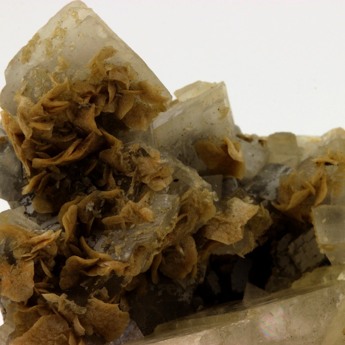 Dolomite + Siderite. 861.6 carats. La Mure, Isère, France