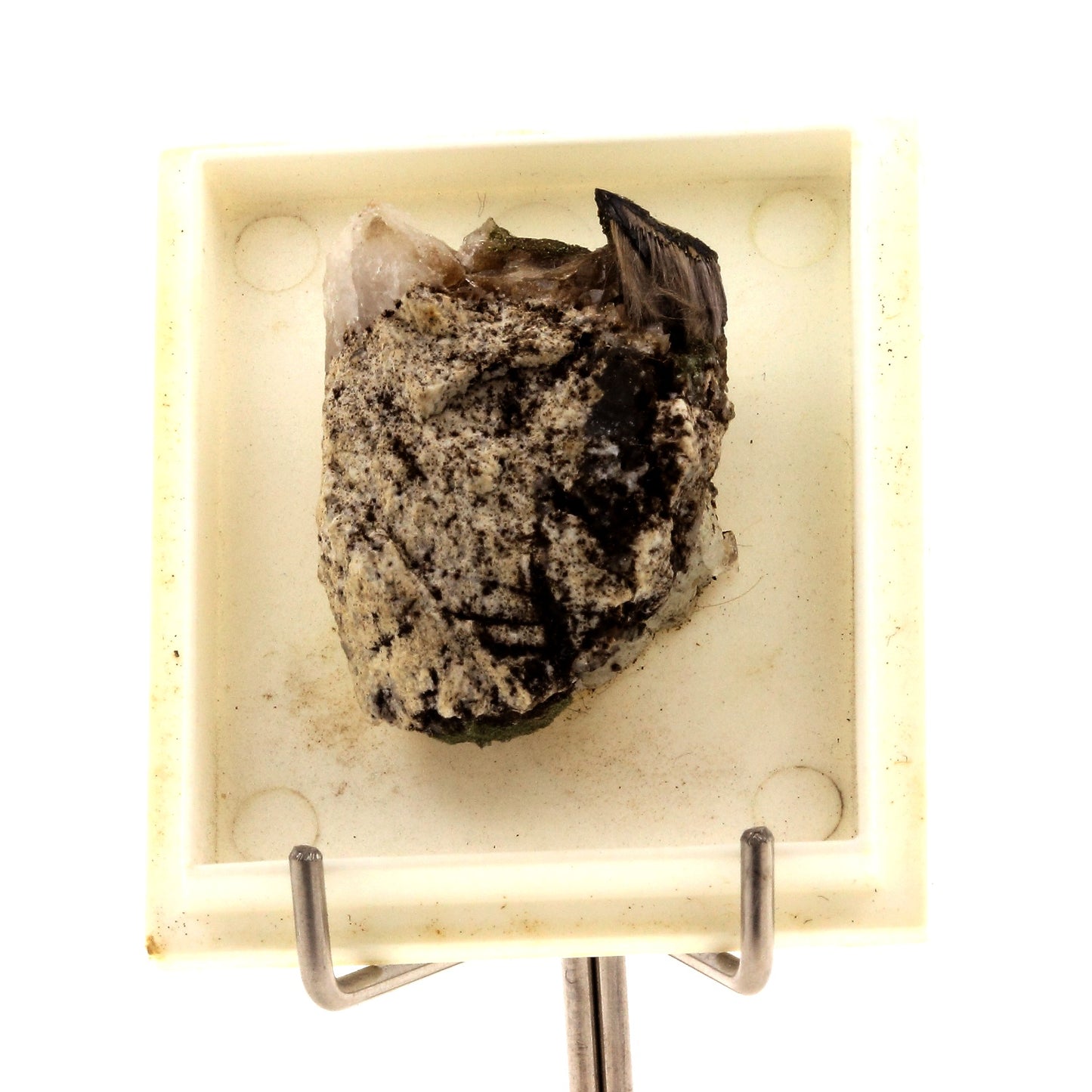 Anatase + Rutile. 55.5 carats. Massif de la Lauzière, France