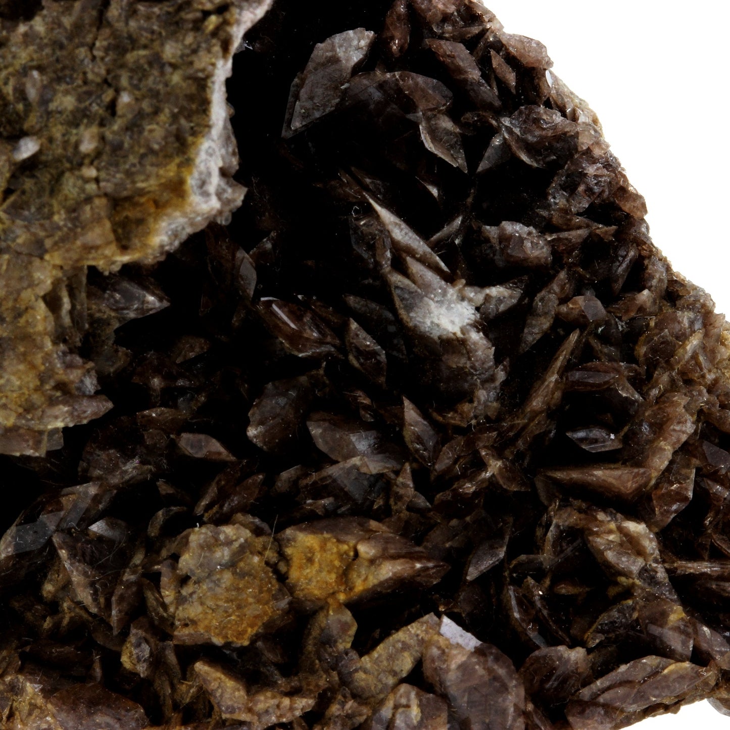 Axinite. 752.9 carats. Chamrousse, Belledonne, Isère, France