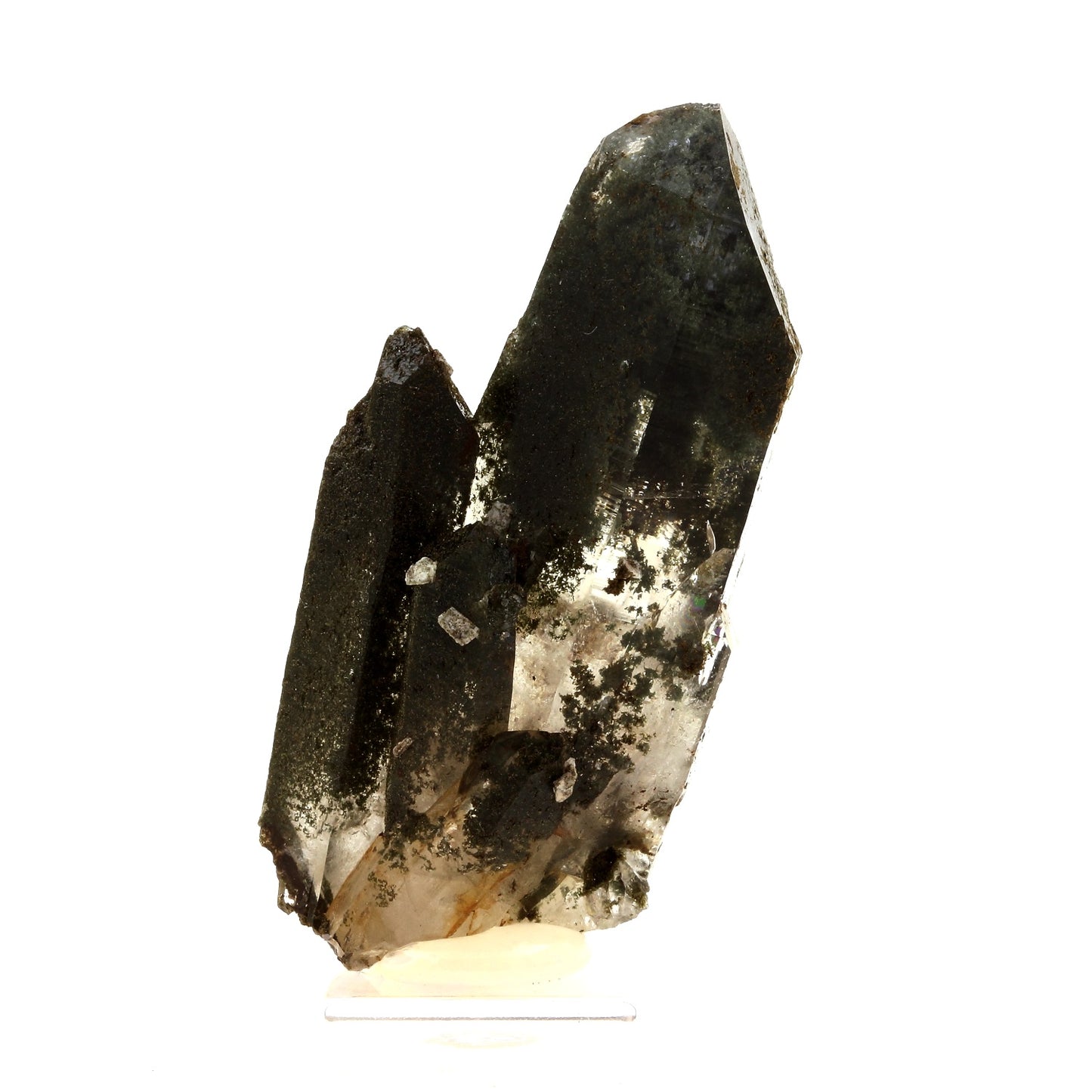 Quartz + Chlorite. 160.1 carats, Massif de la Lauzière , Savoie, France