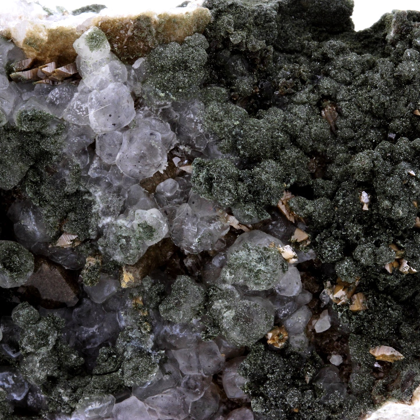Anatase, Calcite, Chlorite. 663.5 carats. Massif de la Lauzière, Savoie, Auvergne-Rhône-Alpes, France