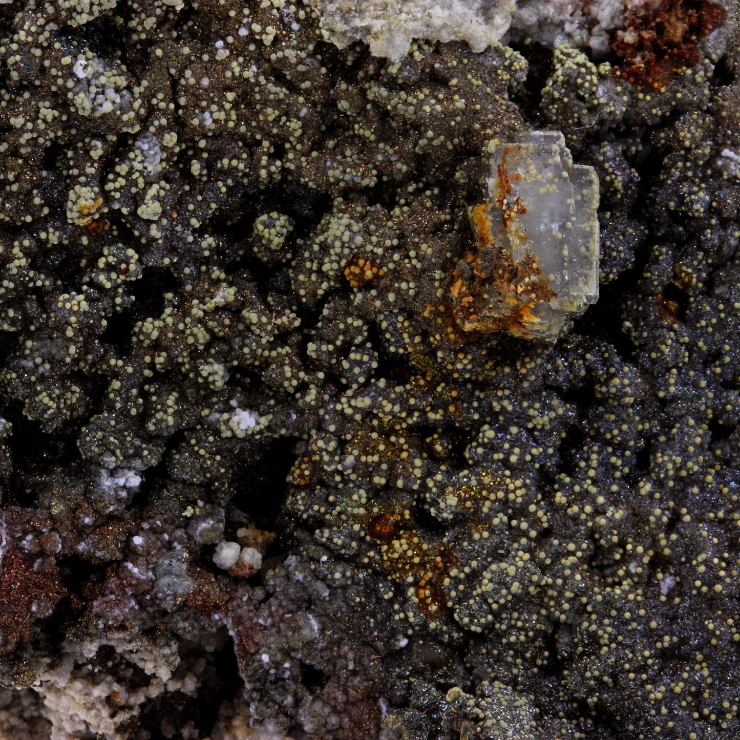 Baryte, Pyrite, Galène. 352.6 carats. Les Vieux Travaux, Les Malines, France