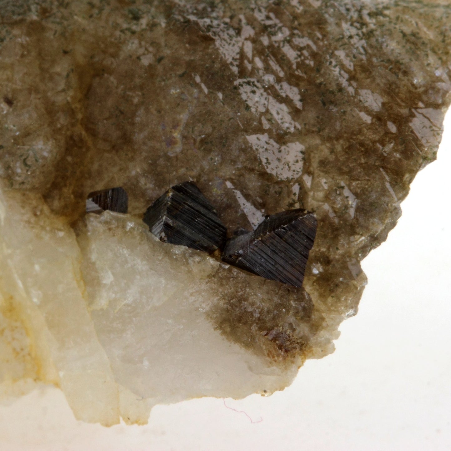 Anatase. 152.3 carats. Plan du Lac, Oisans, Savoie, France