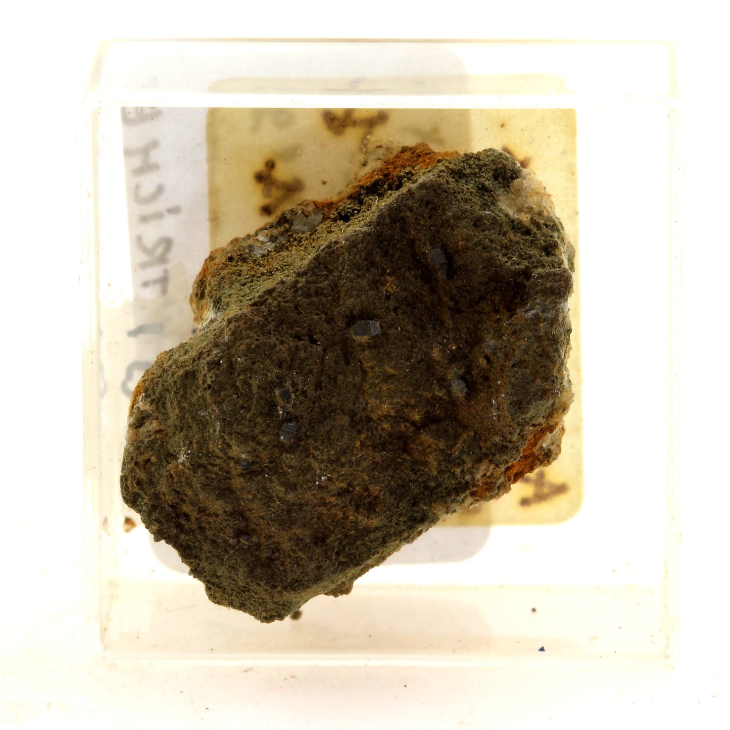Anatase + Chlorite. 32.98 carats. Erfurt way, Rauris, Autriche