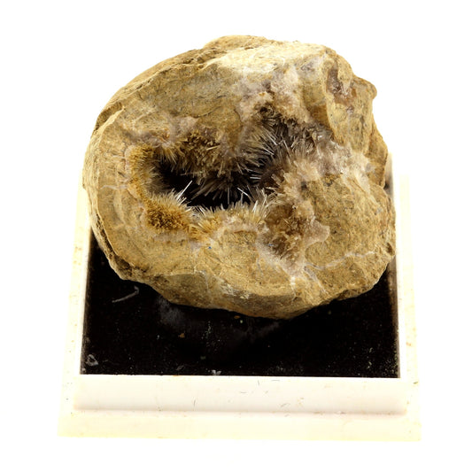 Aragonite. 236.1 carats. Lavorgo, Ticino (Tessin), Suisse