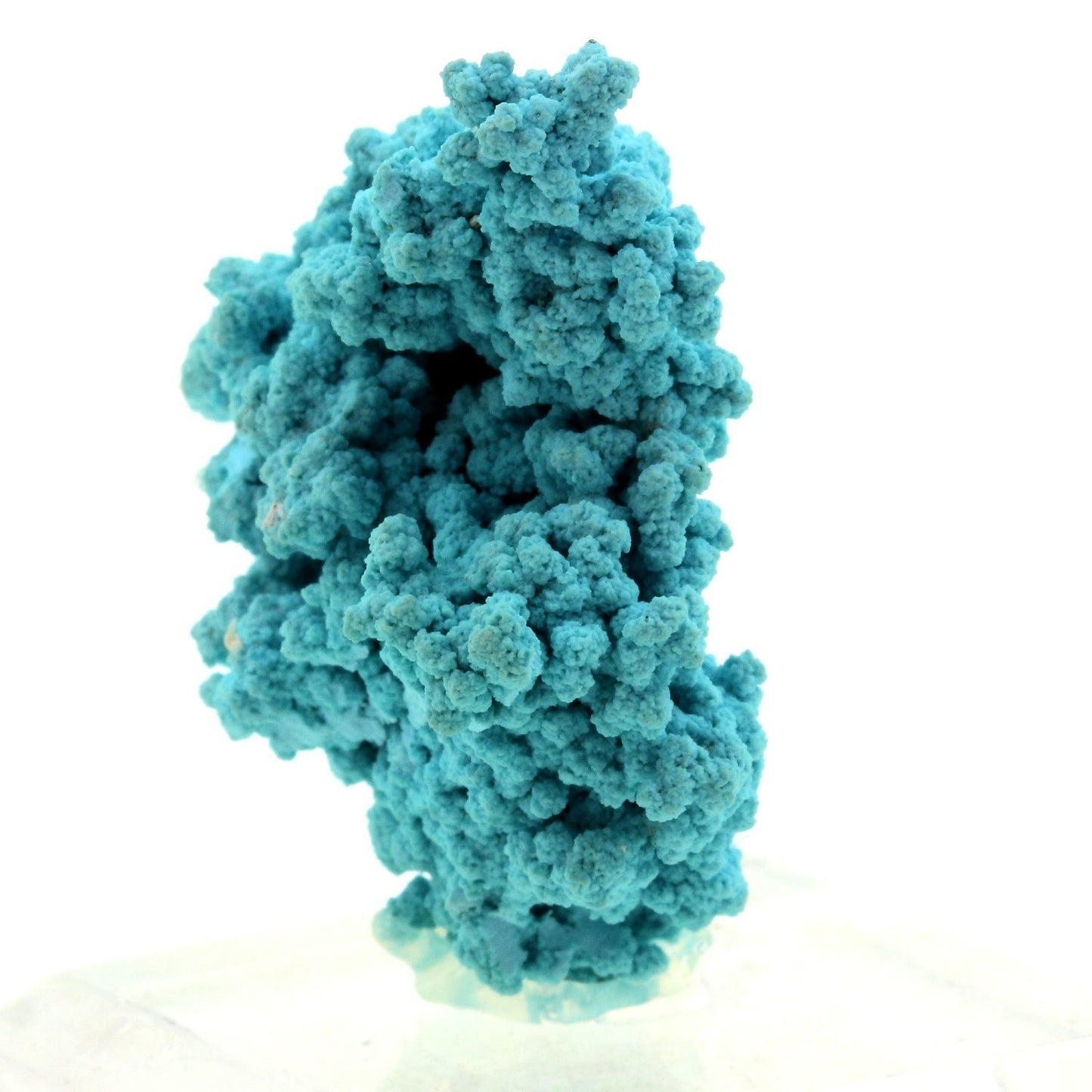 Turquoise. 146.0 carats. En provenance de Mineral Park Mine, Mineral Park District, Wallapai District, Arizona, USA