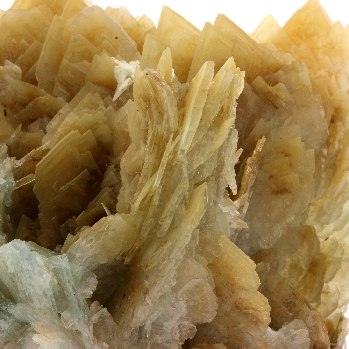 Baryte. 1770.0 carats. Katanga, Congo